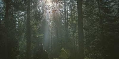 Before/After Intervention Charts